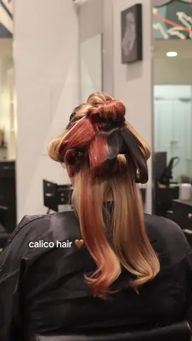 Calico 🐈🐈‍⬛😍 LATE JULY/AUGUST BOOKS OPEN 🎀  #pasadenahairstylist #calicohair #y2khairstyle #chunkyhighlights #calicohaircolors #lahairstylist #colorspecialists #hairinspo #pasadenacolorist 