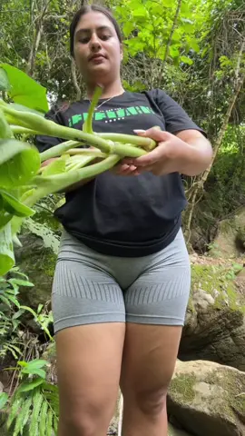 🌿😍🌿#naturaleza🌿 #elcampo🌾🤠🦾 #parati #viral #lomejor 