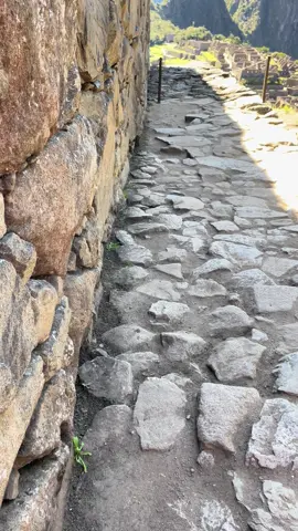 ✨ ¡Una de las 7 maravillas del mundo! 🌄 Machu Picchu te deja sin aliento con su historia, energía y vistas increíbles. 🌿🏔️ ¿Ya lo visitaste? 🇵🇪 #MachuPicchu #Peru #TravelGoals #ViajaConmigo #AventuraInca #WonderOfTheWorld #IncaVibes #TurismoPeru #tiktoktravel #ViralTikTok #LugaresMágicos #HistoriaViva #NaturalezaPura #ExploraElMundo