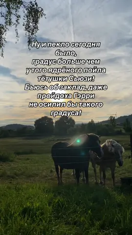 #рекомендации #fyp #гэрри #сьюзи #жара #реки 