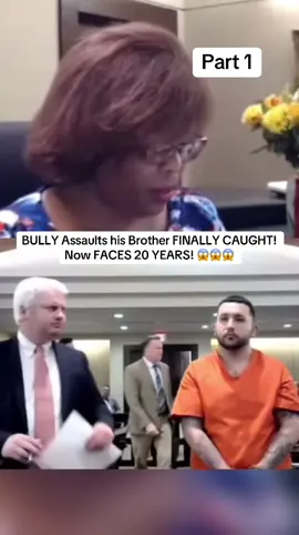 BULLY Assaults his Brother FINALLY CAUGHT! Now FACES 20 YEARS! #fyp #lawyer #judge #criminal #court 