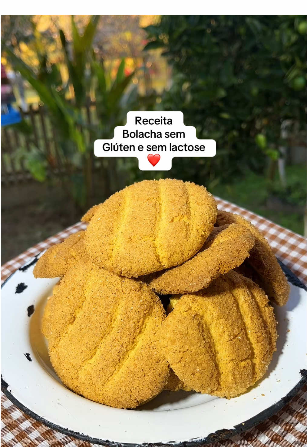 #receita#receitasimples#bolacha#glutenfree#fit#dieta#facil#fyp#foryoupage#fypシ゚#videoviral#viraliza#tik_tok 