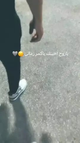 ياروح اخيتك ياكمر زماني 😔🩶 #باسم_الكربلائي #fyp #اكسلبورر_explore #كربلاءالمقدسه 