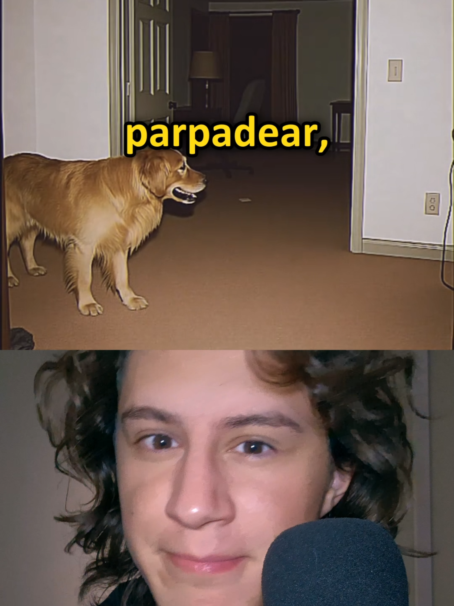 Si hace ESTO tu perro, NO LE HABLES  creado por @lightsoflife.see  #liminal #liminalspace #terror #miedo #leyenda #perturbador #fyp #historia #cursed #creepypasta #reglas #backrooms #dreamcore #weirdcore #perro #perros