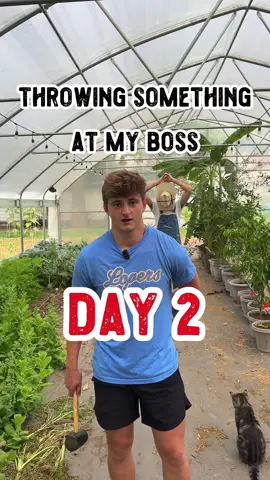 Throwing something at my boss until he guesses what it is. Day ✌🏽 What should I throw next?  #shilohfarm 