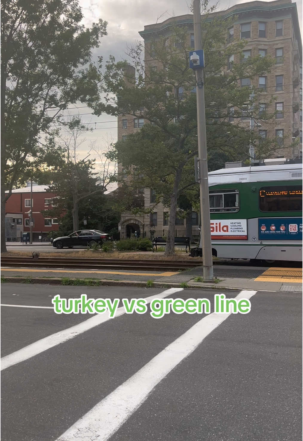 only in brookline fr #boston #mbta