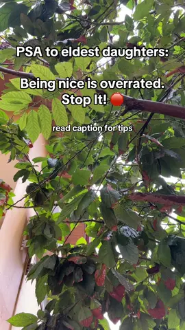 And this is why nice guys finish last … kiddding (but not really 🫠). Kindness is who you are without an audience, niceness is how you act or perform for others. While niceness isn’t inherently bad, is it true to you? Do you choose to nice because you want to or because you fear the repercussions of not being liked or agreable? Do you think you have to be nice in order to be liked and accepted by others?? If so, you may be entering people pleasing territory + self-abandonment territory 😱  So how do you stop this??  1. Get comfortable, REALLY comfortable, with being disliked. Like, super comfortable. You don’t like everyone, so why would everyone like you? That’s a lot of pressure to put on yourself! Someone’s dislike of you does not reflect on your value or worth as an individual. Only you can determine your value. Also, being disliked ≠ being bad. Some people dislike ice cream, that doesn’t make ice cream a moral failure or a bad thing. It’s a difference of opinion, and that’s human nature. We’re not meant to like everything or everyone in our or environment. We’re meant to practice discernment and recognize what’s working and what’s not. So, get used to being disliked. You’ll be happier for it 2. LEARN TO SAY NO. No will become your favorite word in the dictionary once you become comfortable with it. Once again, saying no ≠ being a bad person. Equating saying no to being a moral failure is what keeps you doing and agreeing to things that you fully don’t want to do or agree to! You’ve never viewed someone else as a moral failure for saying no, so why do you view yourself in that light? Just as no one is a good person for saying yes, no one is a bad person for saying no.  No and yes are simply words with no moral value. REMEMBER! The people that truly love and value you as a person will continue to do the same not because of how well you treat them, but because of who you are. They love you not for your actions , but for your presence. Community is found with genuine connections, not an exchange of surface-level niceness and platitudes. Find your community by being you, not what others expect from you. Remember to stay true to your principles, morals, and values because at the end of the day, there’s only one you and no one can replace that. So stay true to you  - love, a fellow eldest daughter 🤍🤍#eldestdaughter #sayno #boundaries #kind #nice #beingdisliked #meangirl #eldestdaughterproblems #eldestdaughterthings #eldestdaughtersyndrome #fionagallagher #peoplepleaser #peoplepleasing #selfabandonment #abandoningyourself #abandonmentwound #fearofabandonment #couragetobedisliked #kindness #niceguysfinishlast #lol #fyppppppppppppppppppppppp 