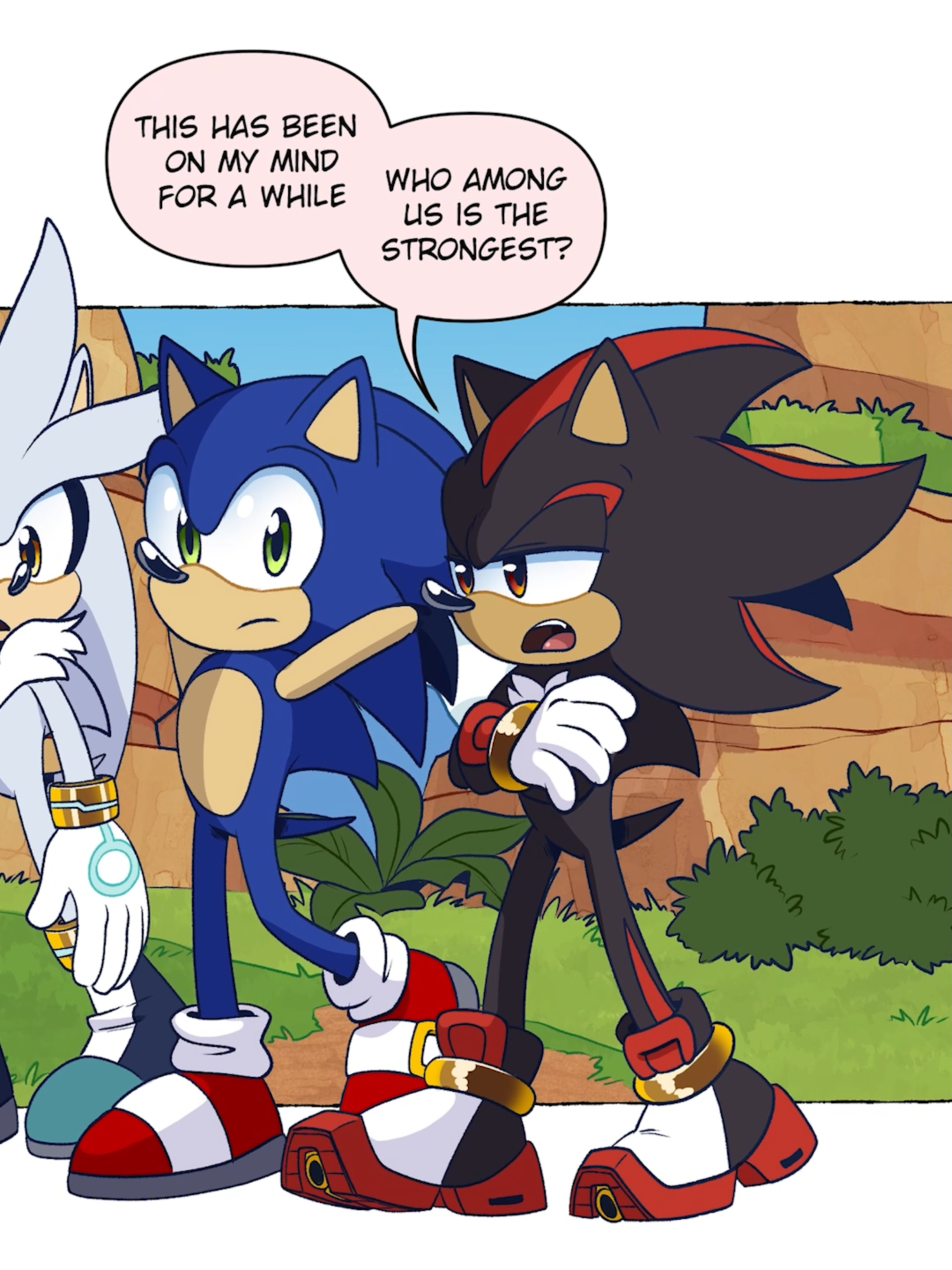 Silver, Sonic and Shadow determine who's the strongest. Comic by TC-96 Cast: Silver, Sonic, Shadow - Alex Wood #sonic #sonicthehedgehog #silverthehedgehog #shadowthehedgehog #comicdub #soniccomic #dailylivesofhighschoolboys