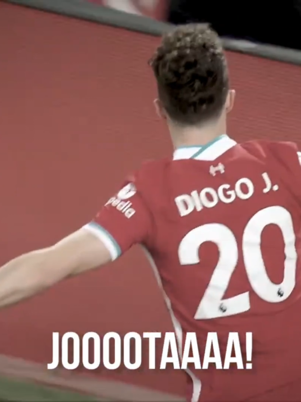 🖤🕊️ #portugal #diogojota #liverpool 