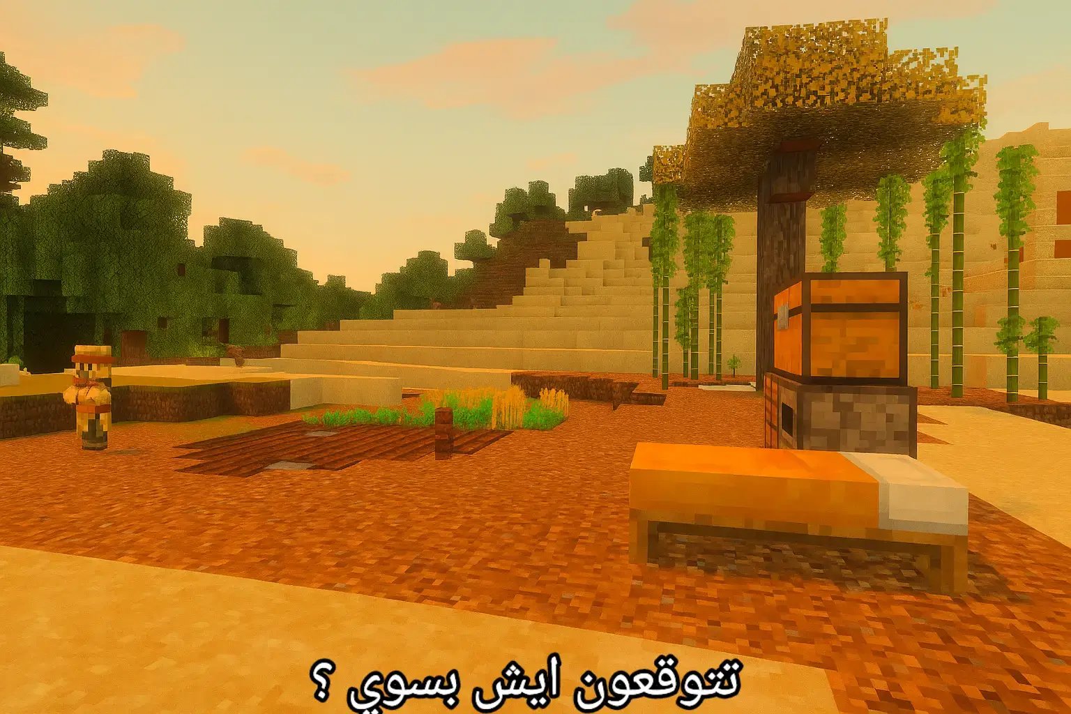 #كوين_تزويو🍭 #ماين_كؤافت