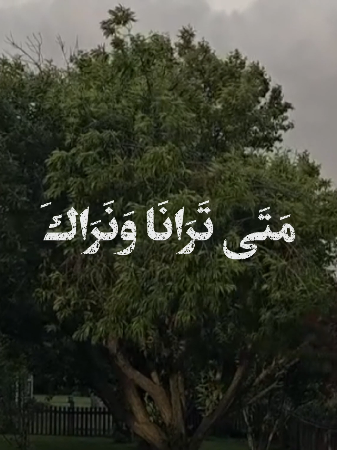 مَتَى تَرَانَا وَنَرَاكَ ؟ #دعاء_العهد #محسن_فرهمند #دعاء_التوسل  #الحاج_مهدي_سماواتي  #امام_رضا  #viral  #اكسبلور 