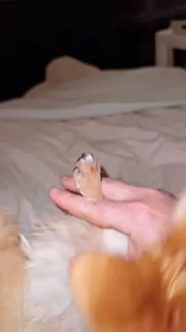 Just a little little something to take the edge off…. 