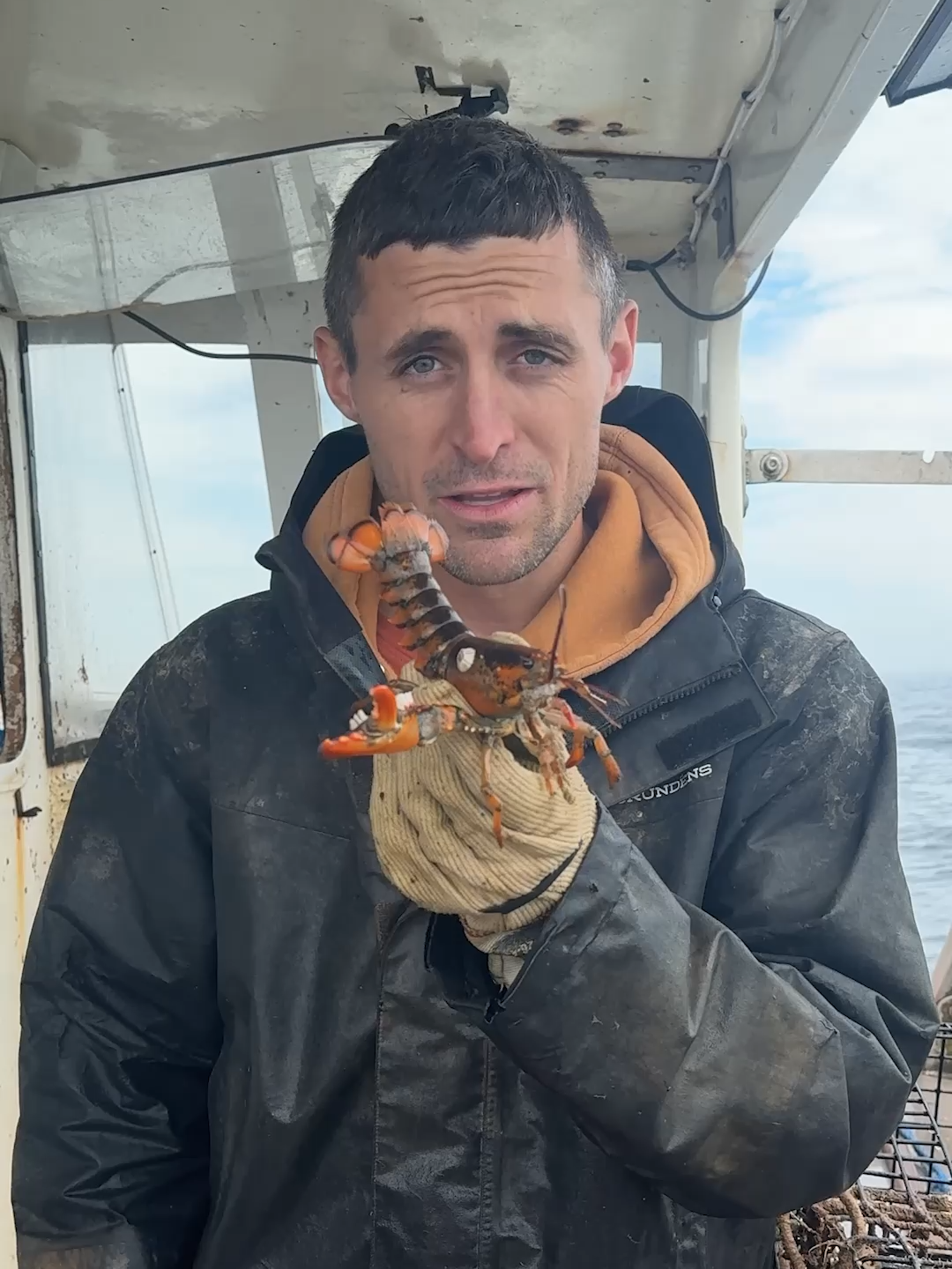 poor little fella is off to a hard start! #theclawspa #maine #lobster #fishing #commercialfishing #seafood #asmr #satisfying#maine #interesting