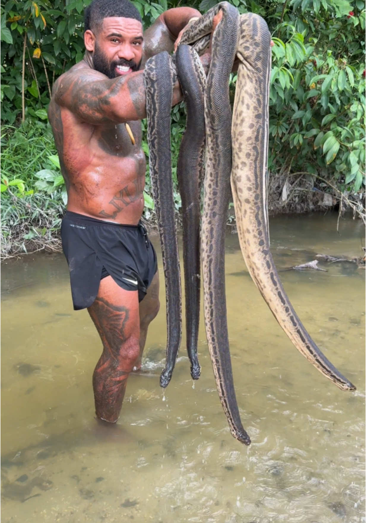 What do you think about these Massive fully aquatic elephant trunk snakes #fyp #snakes #indoesia #wild #explore #tiktok 