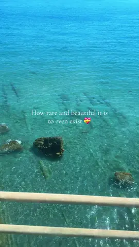 This song gets me everytime 😭 #howrareandbeautifulitistoevenexist #saturn #fyp #trendingvideo #wewereliars #traveltiktok #healing #water 