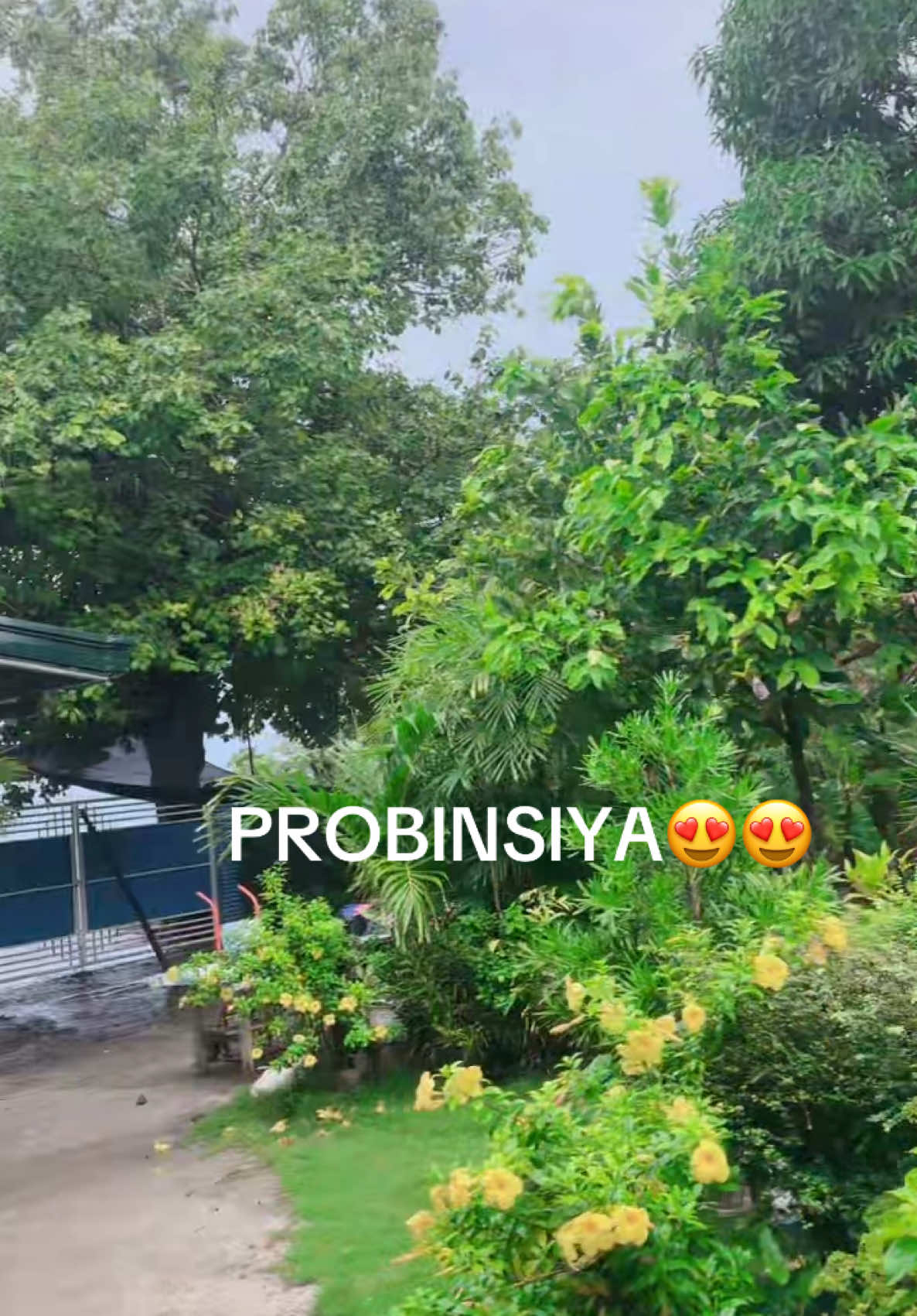 #lyne🌹❤️  #bakasyonpinas2025 