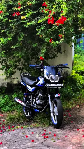 🥺💗#TUSKE #newtrend #ct100modified #omemillionviews #ct100lover #viral #400k #brandtusker #trending #BJE #indiyan #fyp #cmb #2025 #nature #Jayasanka_x @𝙆𝗡𝗢𝗪𝘇𝗬💋 @🦅_FALCON_🦅 @𝐁𝐢𝐧𝐮𝐰𝐚 🪽 @_𝙍𝙀𝘿 𝘼𝙉𝙂𝙀𝙇⚡ 