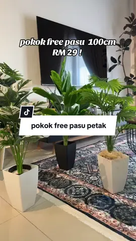 pokok murah dapat pasu sekali 