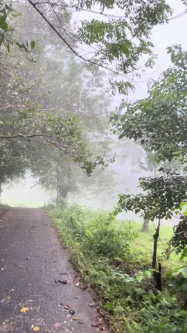 Setelah hujan 1 hari nonstop kemarin.. berasa lagi di dalam Drakor 🥰