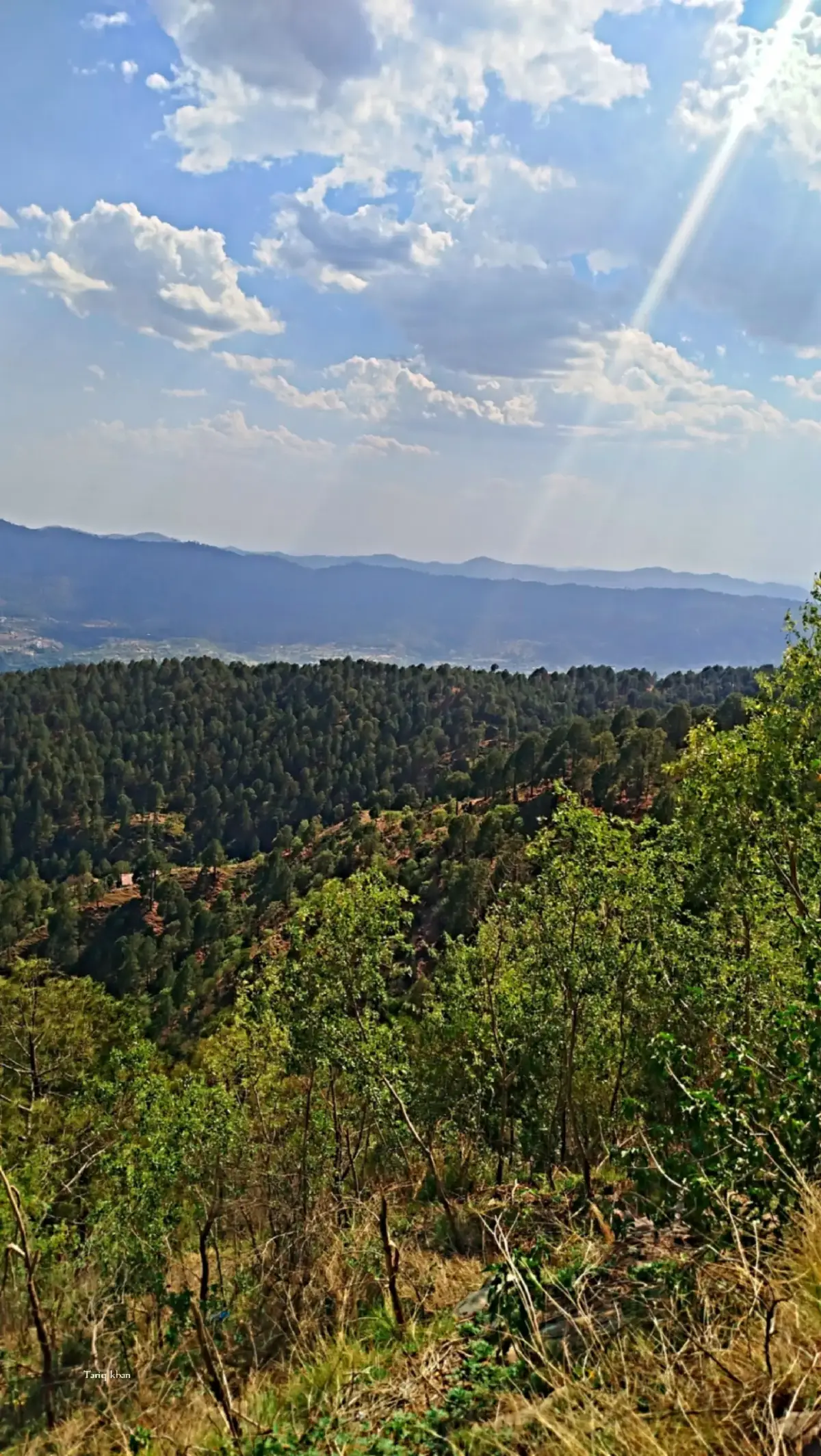 #lovesong #reels__tiktok #followers #growmyaccount #foryoupage #foruyou 