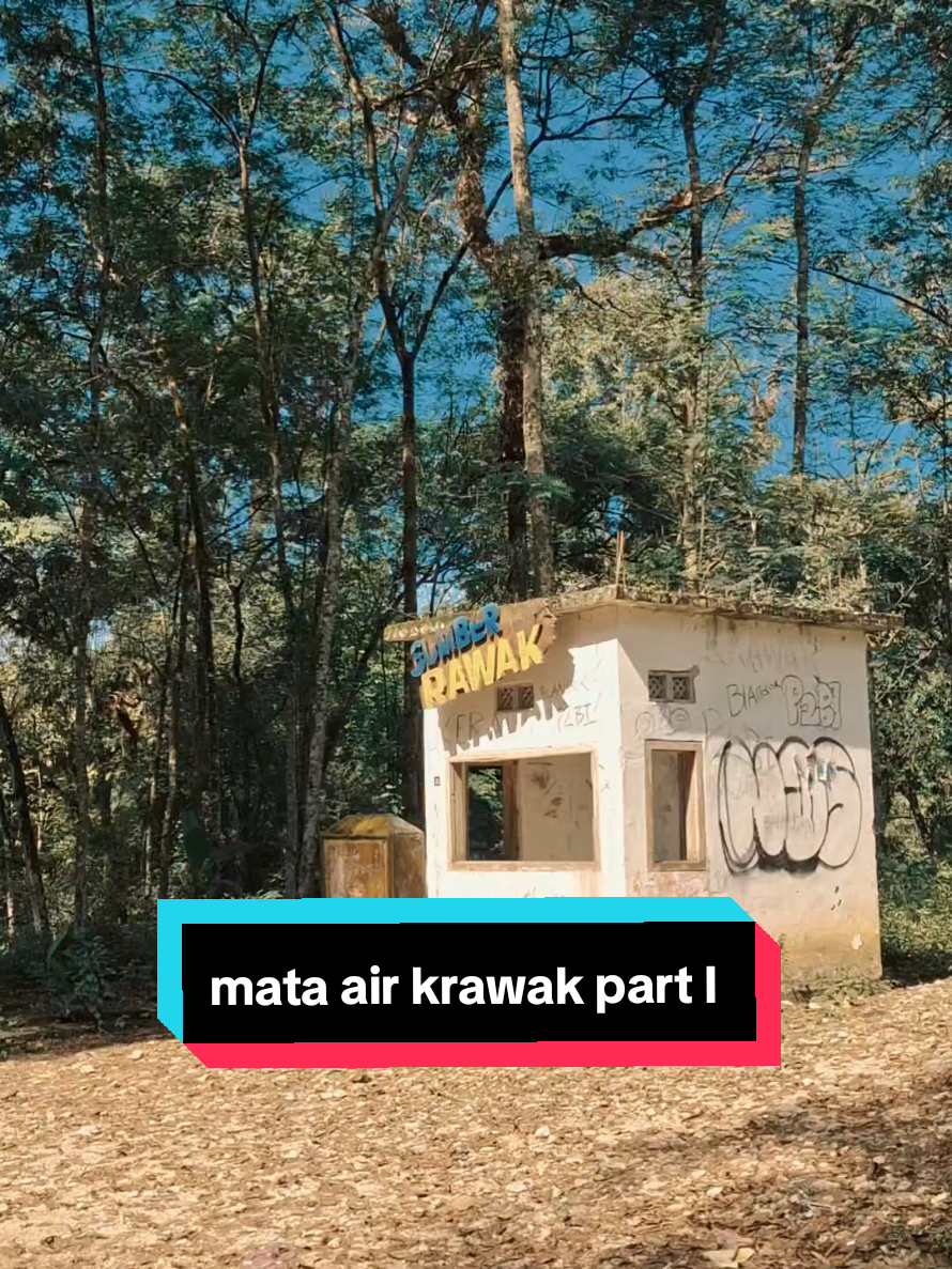 ada yang pernah kesini coba tulis di komentar dan kenapa tempat sebagus ini sepi pengunjung  next time coba kita explore ke dalam  #blusukanndeso #desaviral #singgahan #jatirogo24jam #tubanjawatimur #fyppppppppppppppppppppppp #explorepage✨ #viralvideo #viral #krawaktuban #airterjun #nglireptuban #mataairkrawak #montong #infotuban 