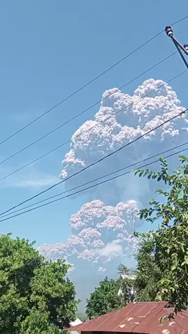 lewotobi 7 Juli 2025 terlihat dari poskoh pengungsian  #semuaorang #lewotobierupsi 