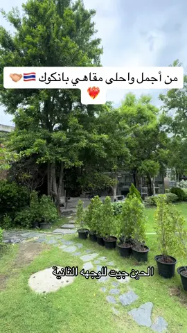 المكان اقل مايقال عنه انه راااائع وتجربة تستحق 👌🏼❤️‍🔥 #بانكوك #مقاهي_بانكوك #your_coffee #تايلند #قهوة #ارابيكا 
