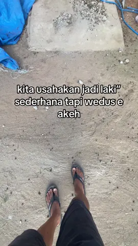 bantu like dan komen nya bolo🥰#fyp #peternakmuda #peternakkambing #fypシ゚viral 