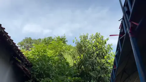 🎵SONG. JAIL (jarang di duil) #DRUMBANDGUMILAR #cirebonpride🏴‍☠️ #drumbandviral 