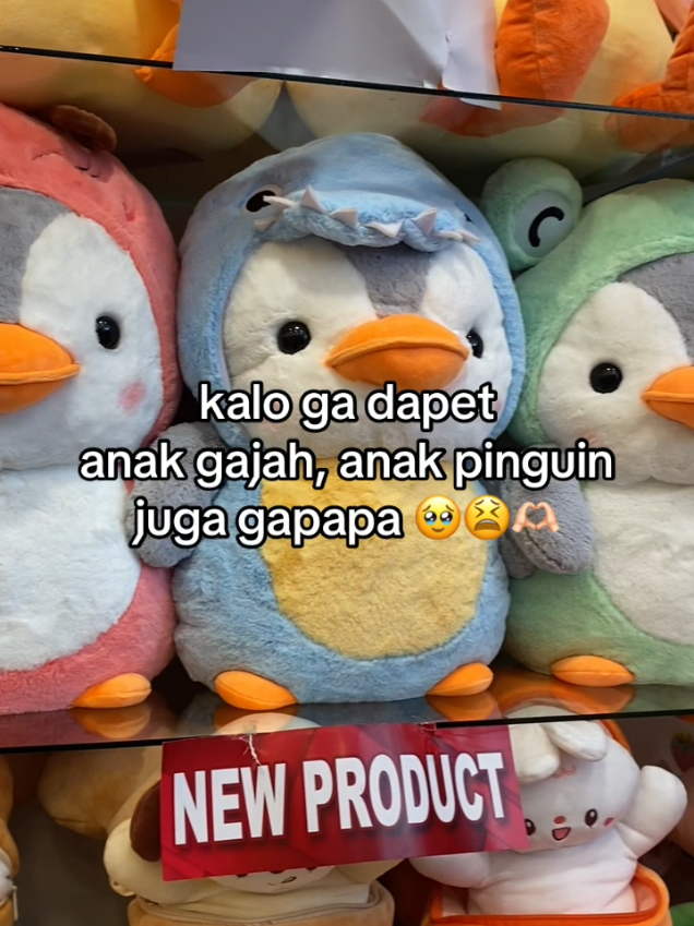 GA DAPAT GAJAH, DAPAT PINGUIN JUGA GAPAPA🥰😍✨💖💫 #isbon #istanaboneka #bonekaviral #isbonpati #istanabonekapati #viral #fyp #kado #bonekalucu #allaboutyou #packingorders #xybca #tiktok #fypシ #bonekamurah #bonekajumbo #bucket #gift #pati #Ramadan #wisuda #graduation #happygraduation #❤️#valentine 