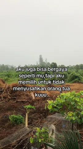 #kebun #kebunsawit #laguminang #lewatberanda #fyppoppppppppppppppppppppppp #foryoupage 