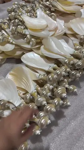 Control de placa #placa de concha #copa espiral #placa de joyería vida exquisita #hecho a mano #diseño de nicho#tik_tok #fyp 