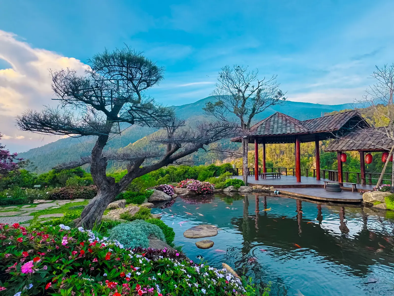 Có 1 Đà Lạt thu nhỏ giữa lòng Quảng Ninh thân yêu ❤️ #quangninh #binhlieu #thackhevan #binhlieufarmstay #he2025 #dalat 