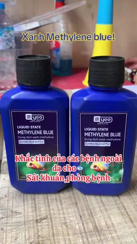 Xanh Methylene blue chuyên trị các bệnh ngoài da cho 🐟#xuhuong #thinhhanh #viral ##top #hottiktok_xuhuong #hotvideo #topthinhhanh #top10 #hot #hottrend #topbanchay #trinam #trinamca #trithoivayca #trixuathuyetca #xanhmethylen 