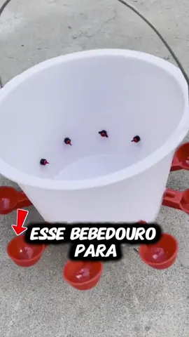 Bebedouro para Galinhas – Prático e Higiênico**   Ideal para aves de pequeno e médio porte, este bebedouro foi desenvolvido para **garantir água limpa e fresca** sem desperdício. Seu design inteligente **evita vazamentos e contaminação**, reduzindo a proliferação de algas e bactérias.   **Principais vantagens:**   ✔ **Material durável** – Resistente a intempéries e bicadas.   ✔ **Fácil enchimento e limpeza** – Economiza tempo no manejo diário.   ✔ **Sistema anti-derramamento** – Mantém o ambiente seco e o piso livre de umidade.   ✔ **Versátil** – Pode ser usado em chiqueiros, viveiros ou áreas abertas.   Perfeito para criadores que buscam **praticidade e bem-estar animal** com menos trabalho.  