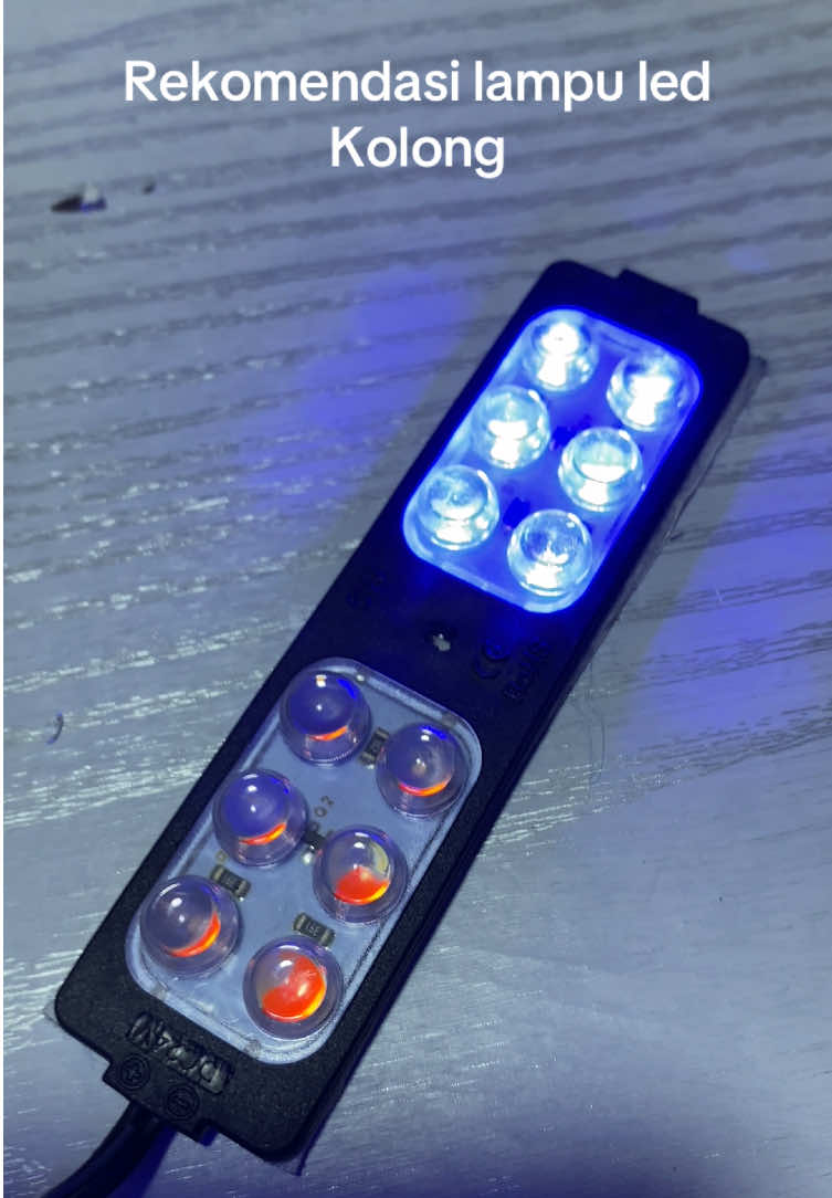 Lampu Led Modul Kolong 12 Volt 24 Volt Nyala Kedip Merah Biru 12 LED 6 WATT harga murah promo #lampuledkolong #lampuledmodul #lampukolong #lampukelapkelip #wibgajian #cuantanpabatas 
