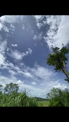 Bầu trời đẹp #xuhuong #xuhuongtiktok #bautroi #xh #livephoto #anhdep 
