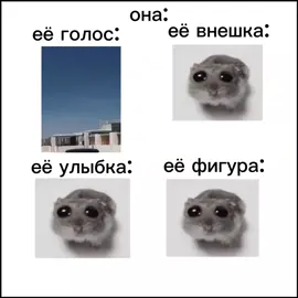 #edit