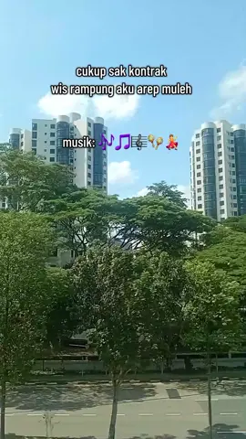 bablas pirang² kontrak🪇💃