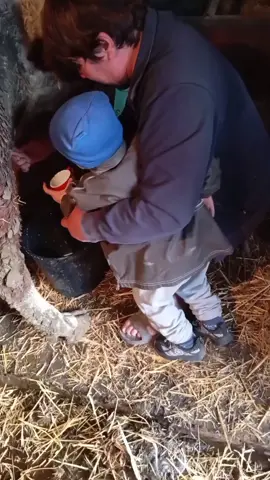 #село  #сельскоехозяйство  #селоілюди  #син 