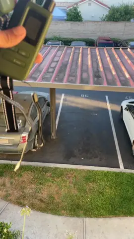 Trust me, this thing actually works #dog #golden #retriever 