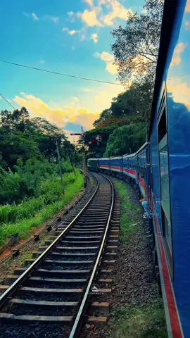 සිහින පොතේ කවි දහසක් අතරේ... ඔබමයි හිඳිනා..!!🥺🤍💐🚂 #foryou #sunset #fyp #foryoupage #fypシ #beauty #nature #naturevibes #travel #traveltiktok #sun #fypviral #onemillonaudition #viral #trending #trendingsong #sinhalasong #goviral #feel #supeshala #sinhalawadan #oldsong #train #srilanka #srilankan_tik_tok🇱🇰 