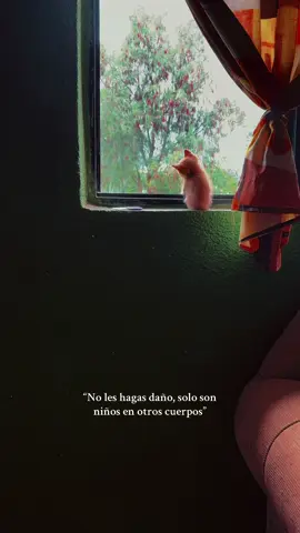🐱🩵