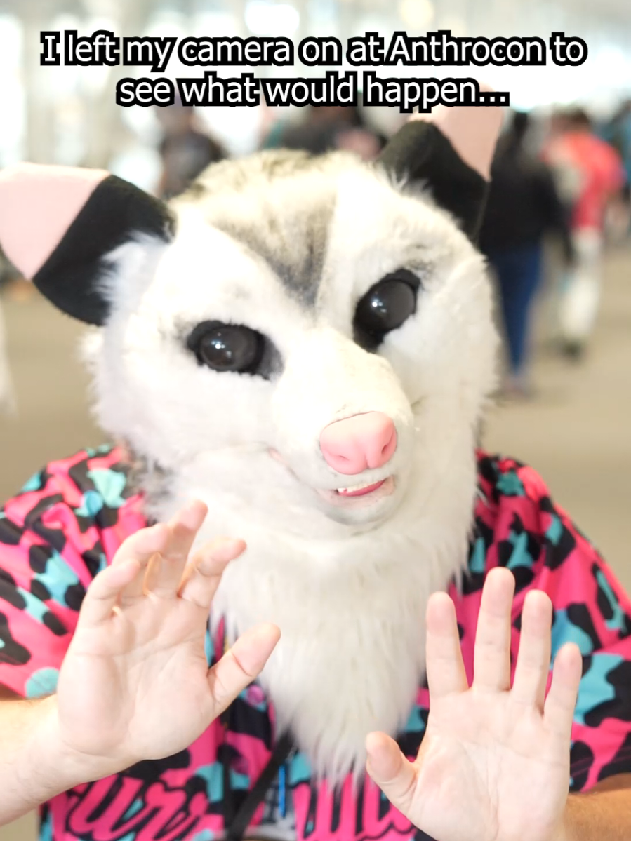Thank you to everyone who stopped and posed, and for all the love you have given me as a creator in the furry community.  I did my very best to grab all the moments that I could fit into this furry montage.  Anthrocon was such an amazing time, and you all have overwhelmed me with all the support since I was here last year.  I have made so many furry friends, and met such kind people.  I'm so happy to be a part of this community.  Thank you for welcoming me over the last year!  Make sure to tag your friends in the comments if you see them in these clips! #furry #furrytiktok #furryfandom #anthrocon #anthrocon2025 #TikTokPartner 