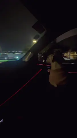 Paseo nocturno, luces encendidas y la reina del asiento copiloto 👑🐶 A veces, lo único que necesitas es buena música, tu Escalade y tu mejor amiga de cuatro patas. #CadillacLife #EscaladeVSeries #DogLovers #LuxuryVibes #PaseoDeNoche #CopilotoPerfecta #WhiteSeagullExperience #PerrItaVIP #Tiktokperros 