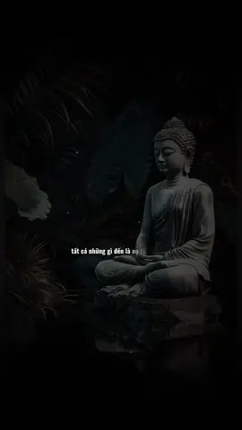 Kiếp trước không nợ kiếp này không gặp #tutam 