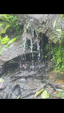 တော်ပြီ!#fpyシ #fyp #fypシ゚viral🖤tiktok #foryoupage #စာသားcrd 