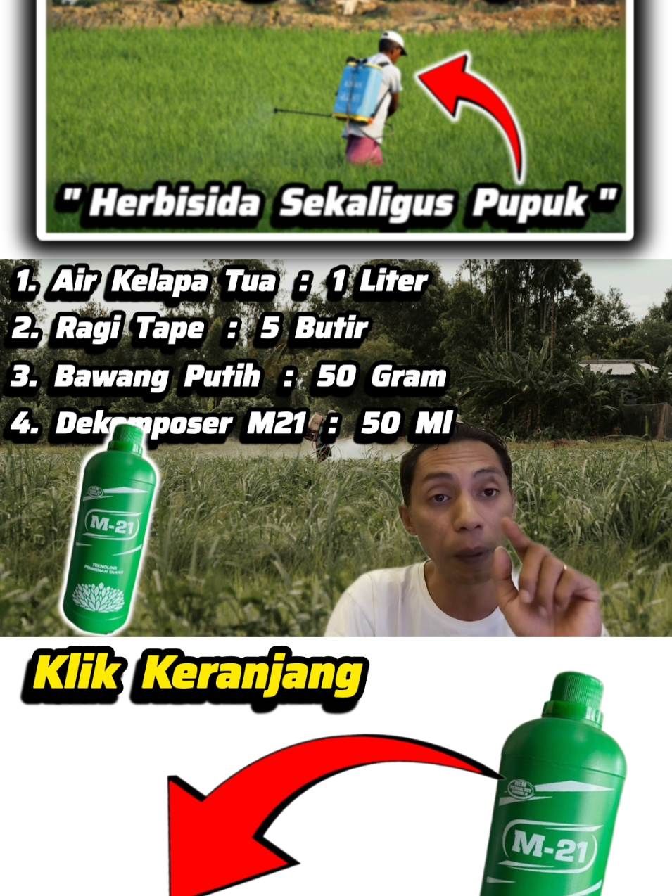 ‼️‼️Herbisida Multi Fungsi‼️‼️Herbisida Organik Sekaligus Pupuk Penyubur Tanah ✔️Cara Buat Herbisida