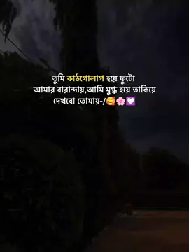 তুমি কাঠগোলাপ হয়ে ফুটো আমার বারান্দায়, আমি মুগ্ধ হয়ে তাকিয়ে দেখবো তোমায়!<🥰🌸💟 #foryou #foryourpage #statusvideo #viral #dear_tiktok_team_plzz_dont_under_review_my_video @For You @TikTok Bangladesh @TikTok Malaysia 
