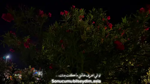 أه لقد وقعت في النار. Ah ateşe düştüm ah#اغاني_تركية_مترجمة #اغاني #موسيقى #foryou #music #song #slowedsongs 